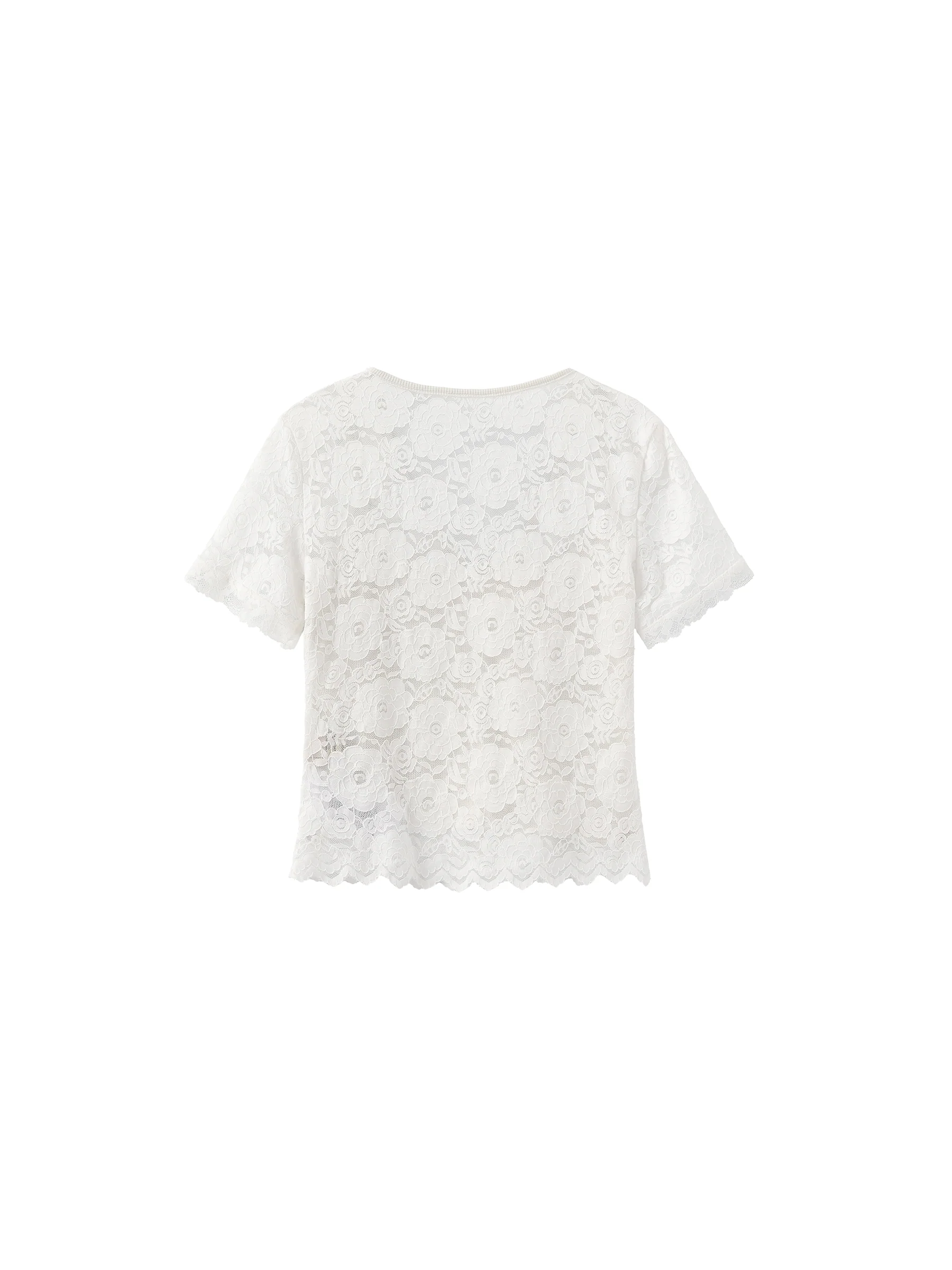 V-Neck Lace Short-Sleeve T-Shirt - Image 8